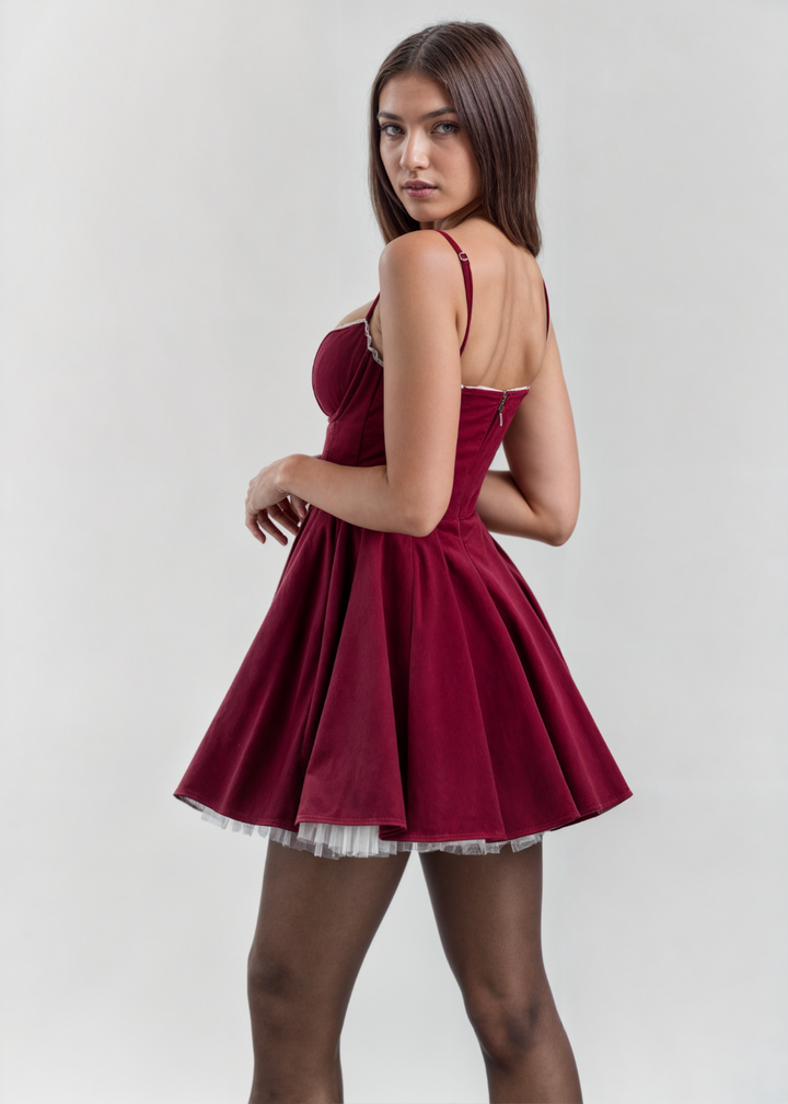 Scarlett Velvet Tulle Mini Dress