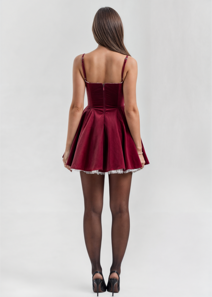Scarlett Velvet Tulle Mini Dress